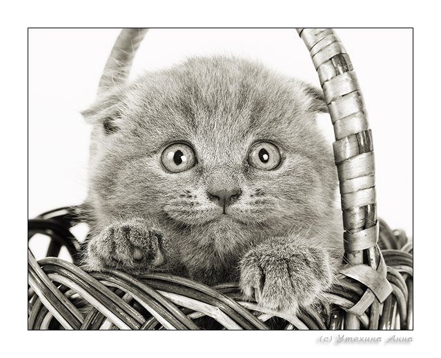 Христина Драганчук | Тернополь