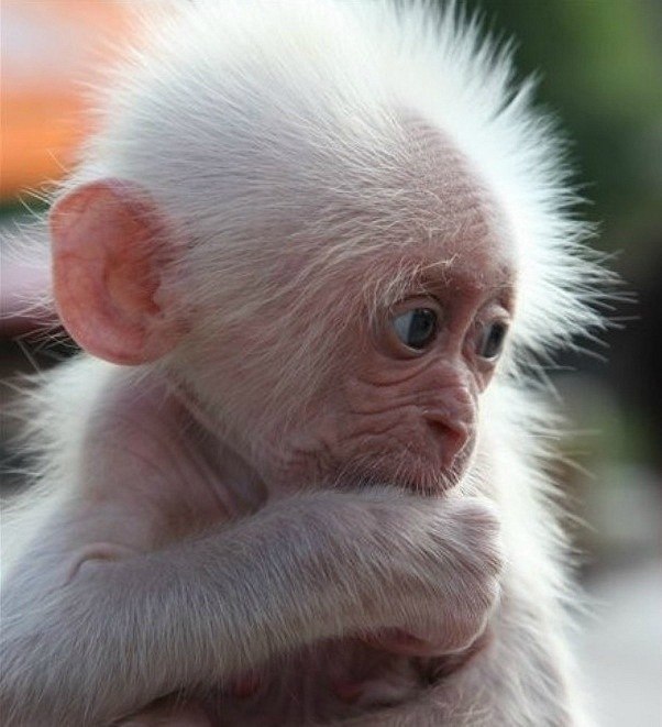 Эльвина Полькова | Краснодар