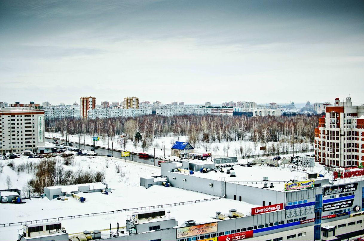 Андрей Кёниг | 