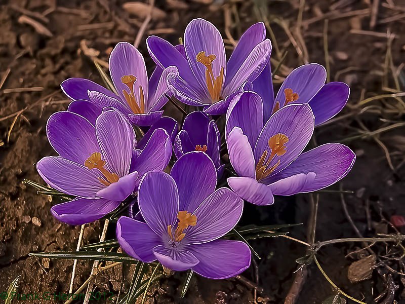 Лилия Алиева | Славянск