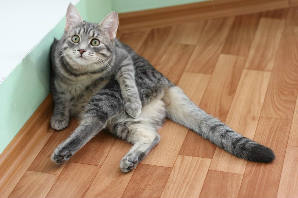 Сергей Охота | Санкт-Петербург