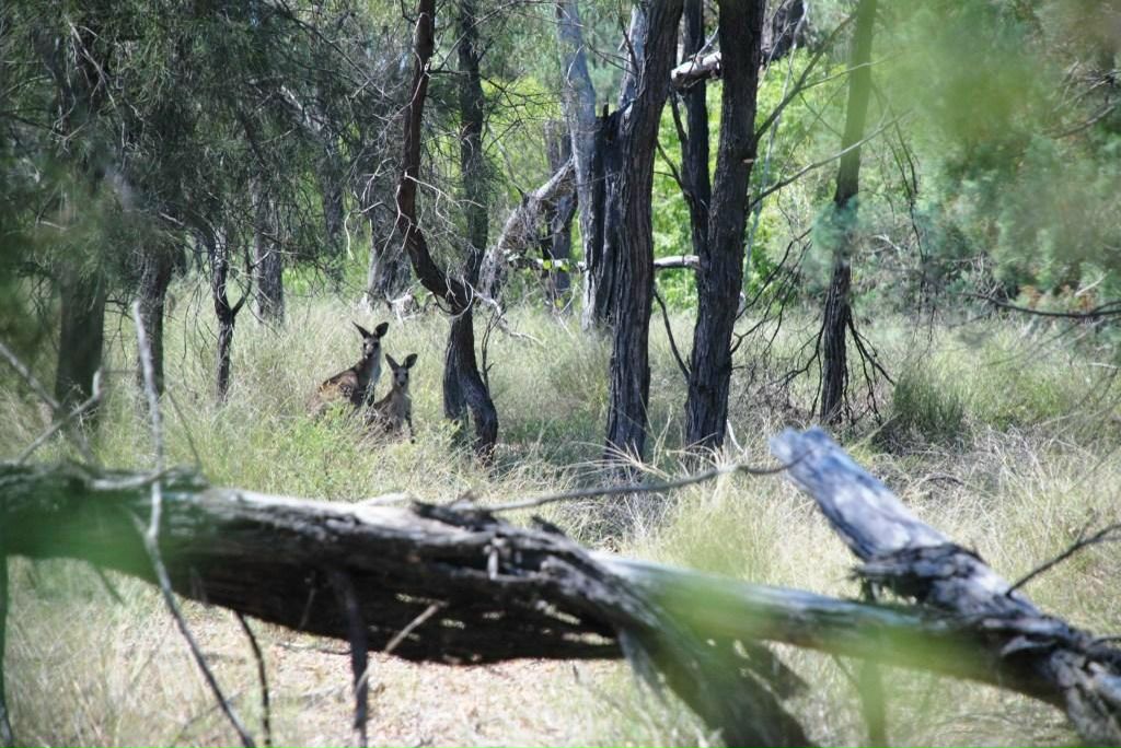 Мария Внучкова | Краснодар