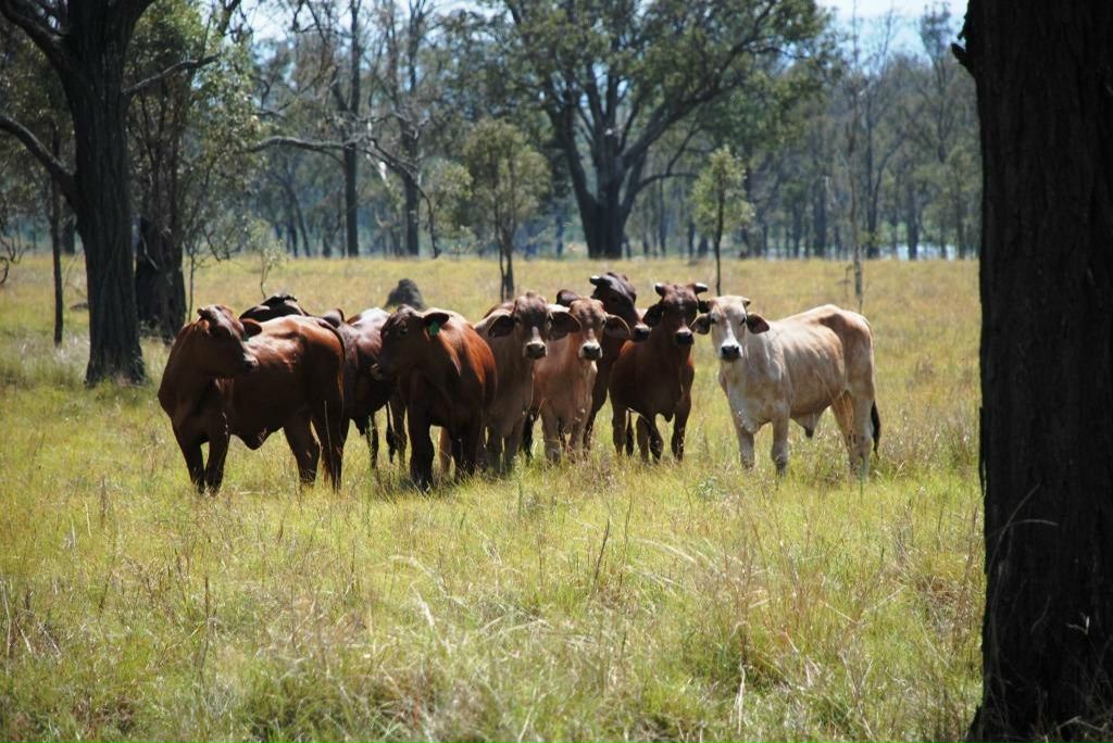 Мария Внучкова | Краснодар