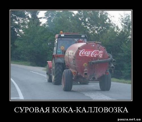 Светлана Брезгина | Тосно