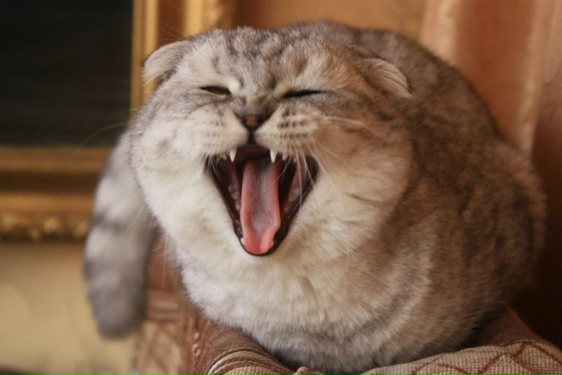 Екатерина Аверкина | Краснодар