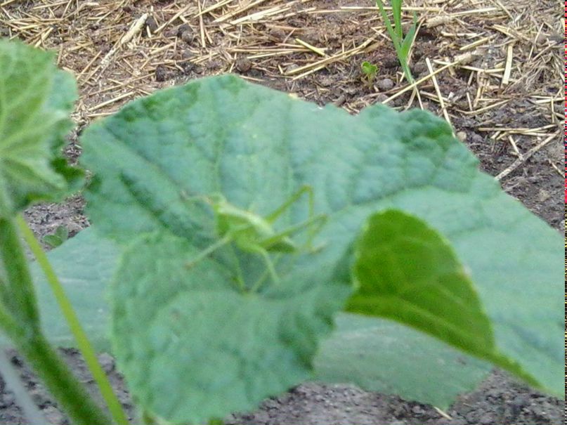 Ирина Бужан Александровна | Минск