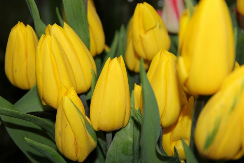 Павел Приступа | Владивосток