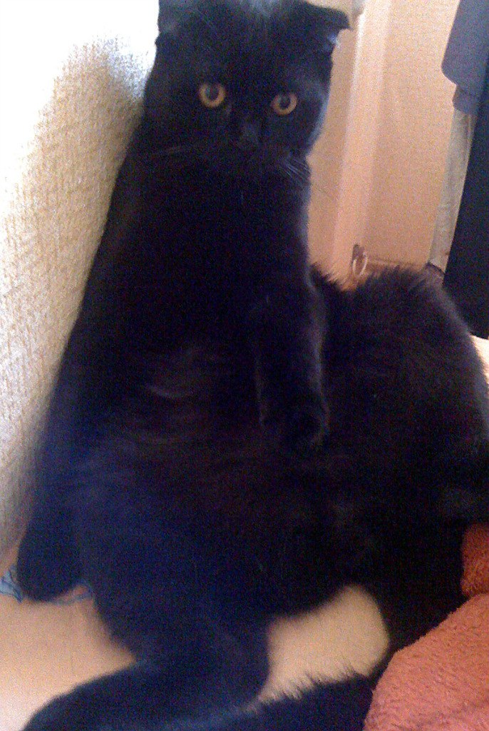 Elizabeth Plis | Ставрополь