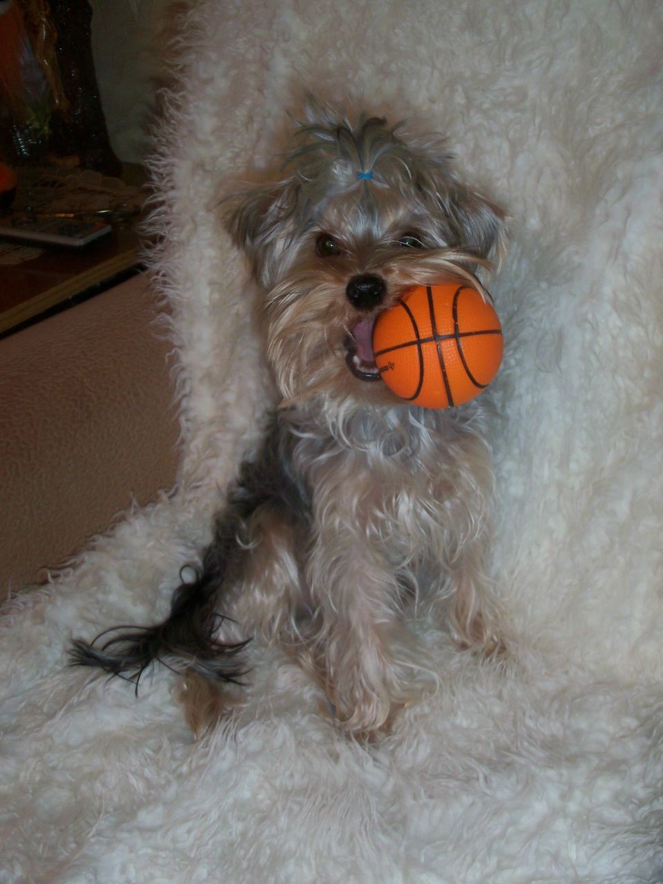 Анюта Гулина | Рузаевка