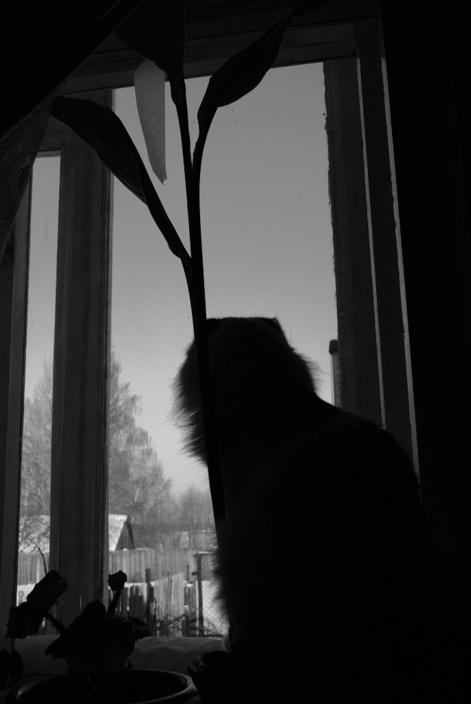 Наталья Илиева | София