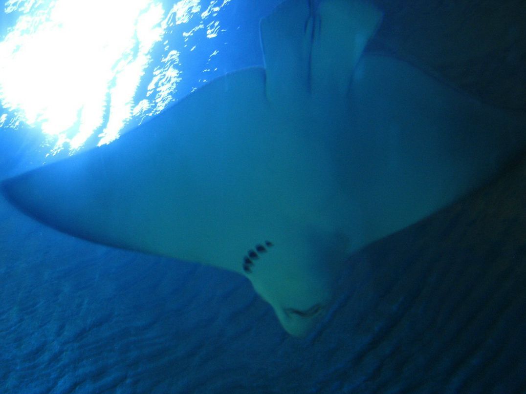 Вячеслав Куртаманов | Мурманск