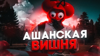 ВСЕМ ПРИВЕТ Я ВИШНЯ GTA 5 RP | MAJESTIC