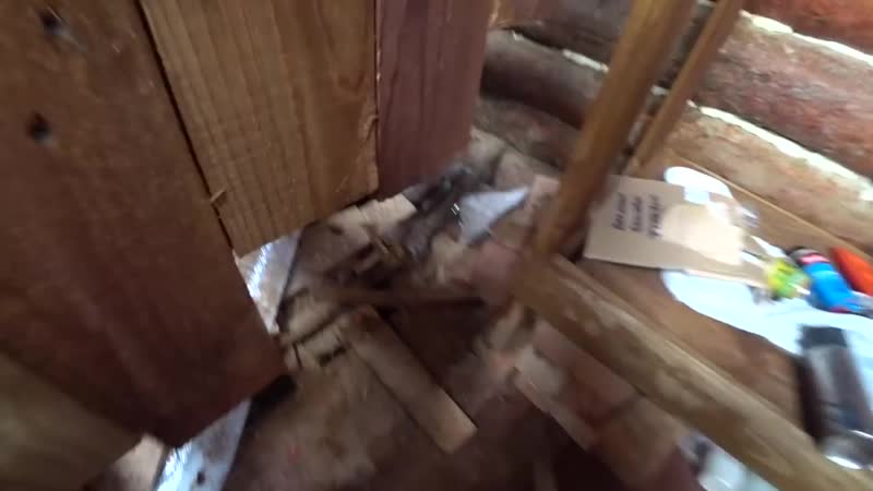 ПРИВЕЛ ЖЕНУ В ЗЕМЛЯНКУ ЗАГОТАВЛИВАЕМ