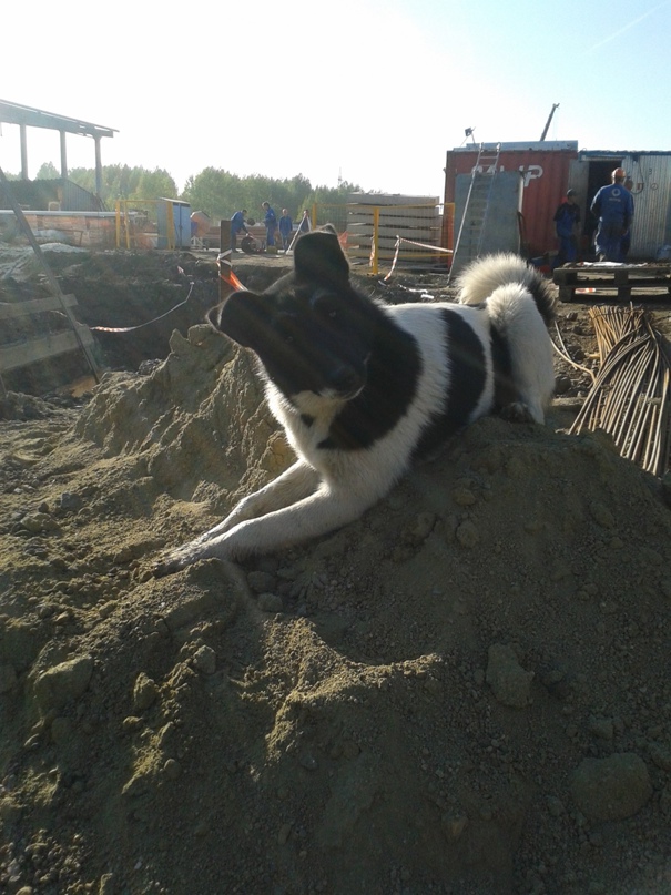 Александр Тихонов | Троицк