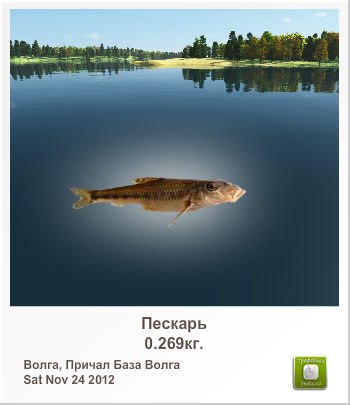 Кирилл Никонов | Батайск