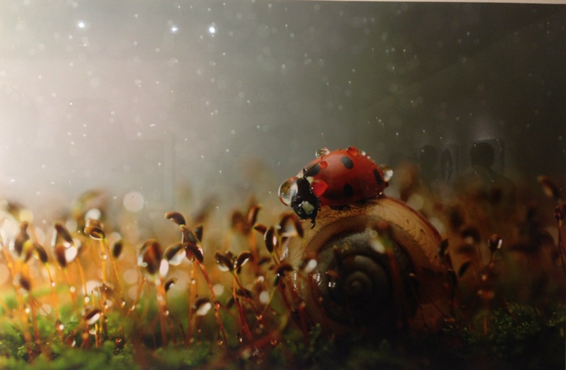 Leno Emelyano Miss | Санкт-Петербург