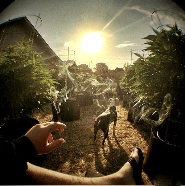 Сергей Мартынюк |