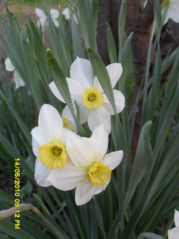 Людмила Карпенко | Кадуй (деревня)