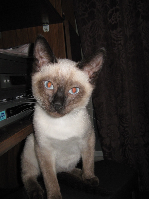 Артем Пономарев | Пермь