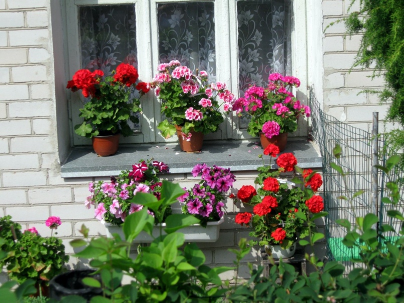 Татьяна Терещенко Gorlusha |