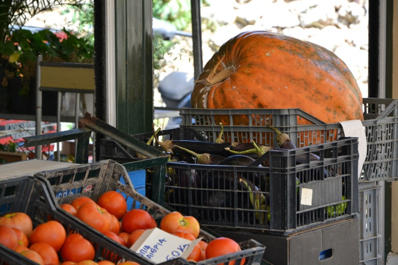 Андрей Лебедь | Запорожье