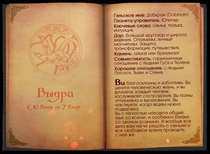Полина Харитонова | Санкт-Петербург
