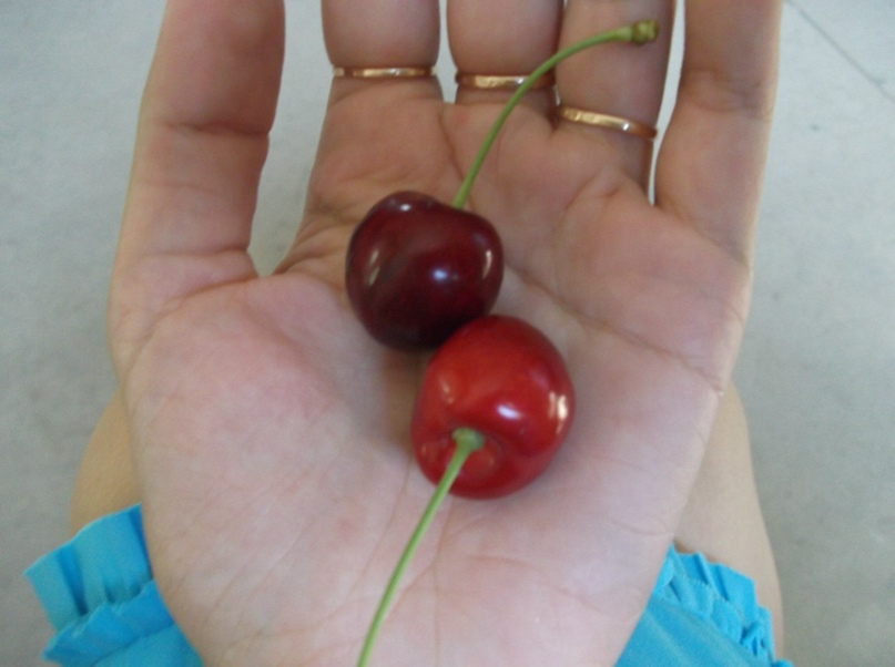 Ксения Олейник | Винница