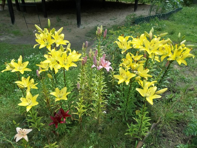 Валентина Вострикова | Москва