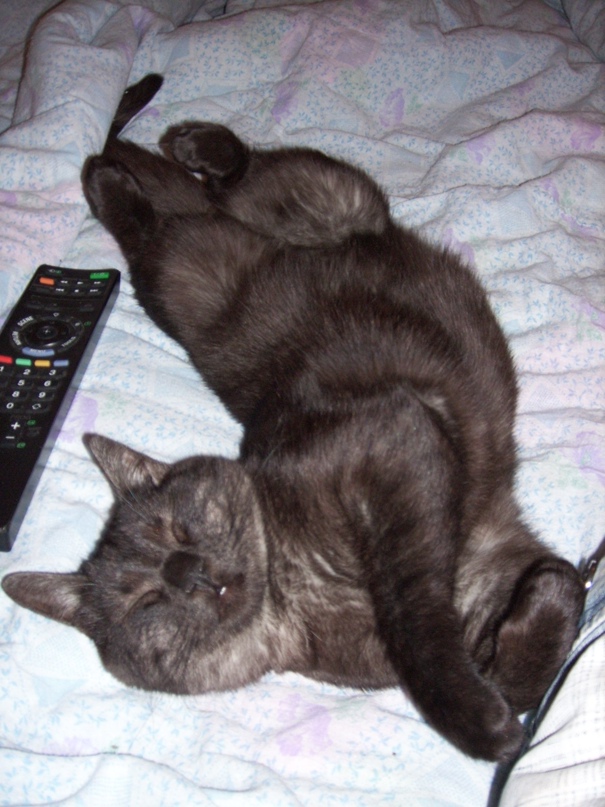 Константин Куклин ><Купыч>< | Орёл