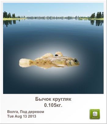 Михаил Васильев | Докучаевск