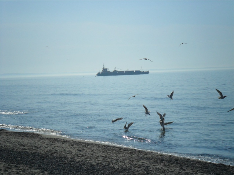 Роман Дмитриев | Порхов