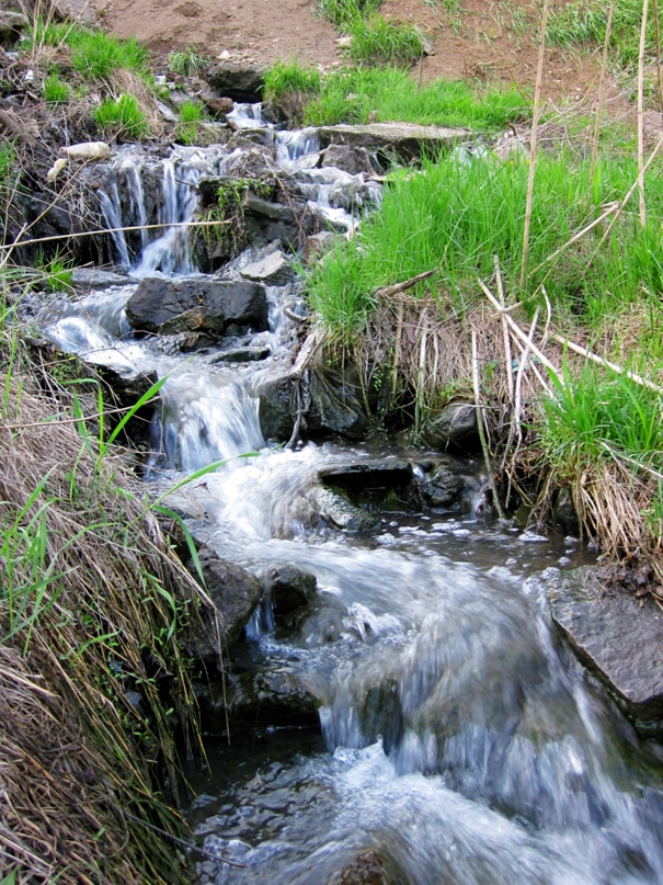 Даша Кузнецова |
