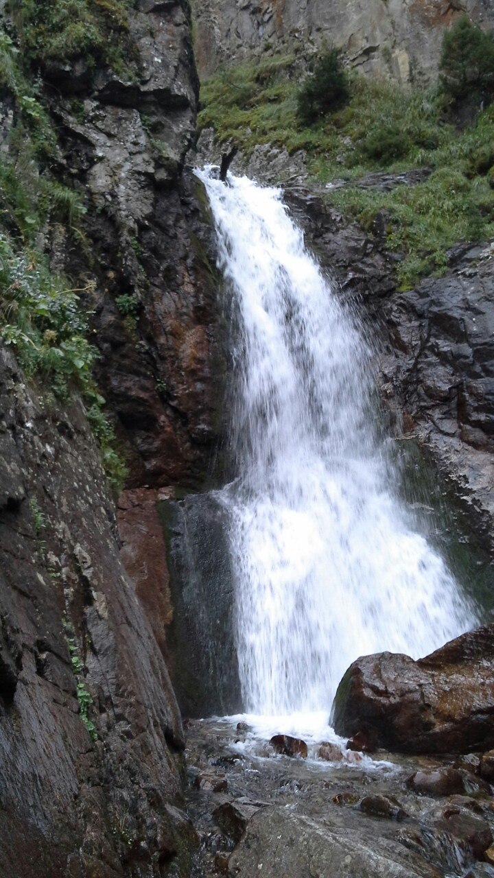 Елена Трефилова | Киров