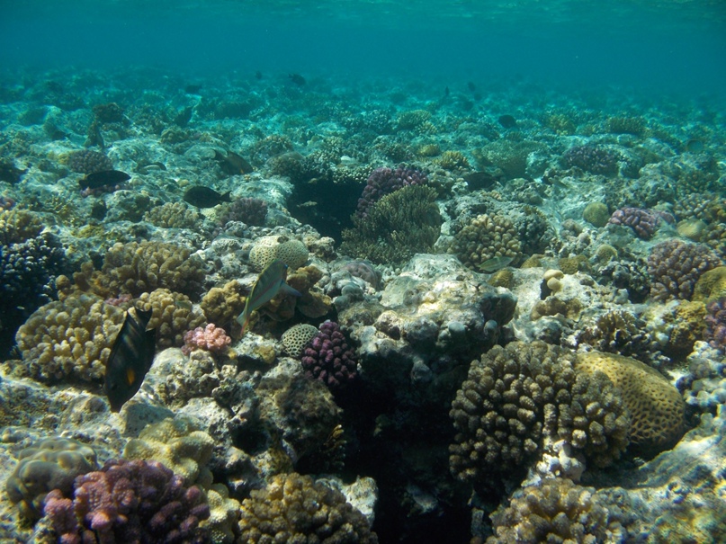Александр Сугробов (by Alexander $) | Воронеж