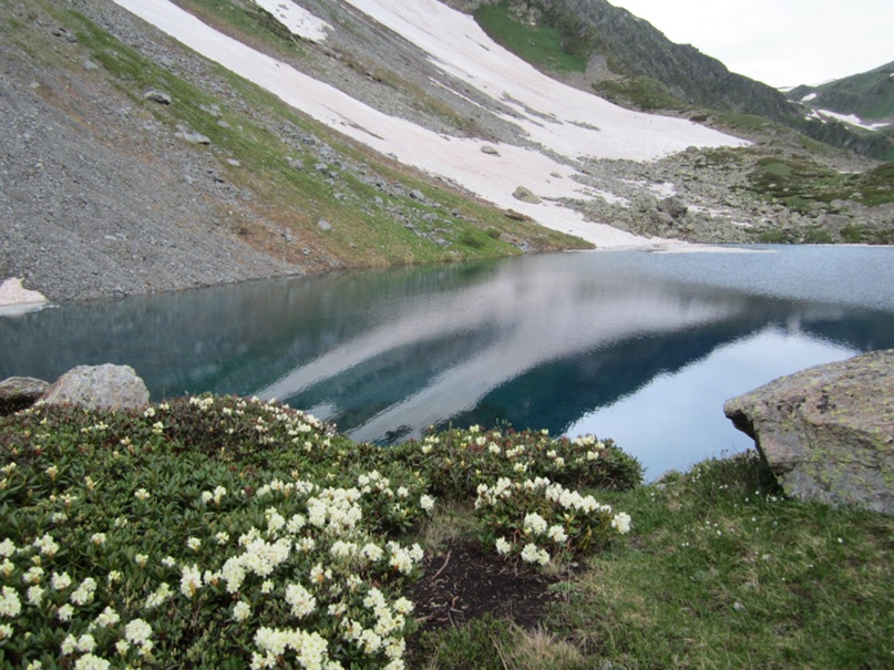 Шамиль Махмутов | Элькуш