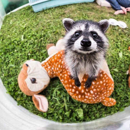 Маша Маркова | San Francisco