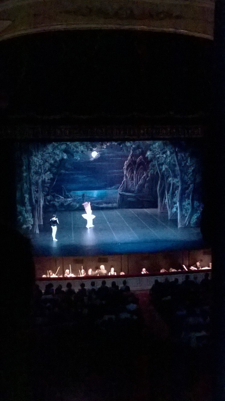 Борис Тимофеев BadBlackCat | Санкт-Петербург