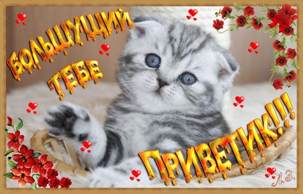 Вера Борисова | Казань