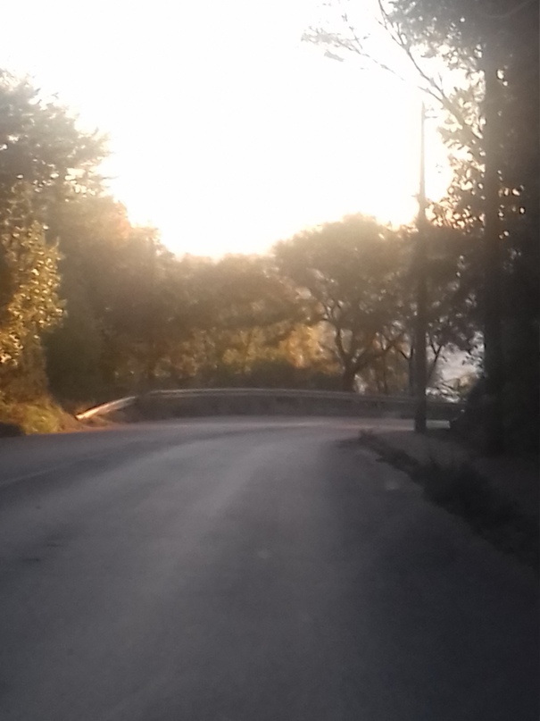 Елена Лисянская |