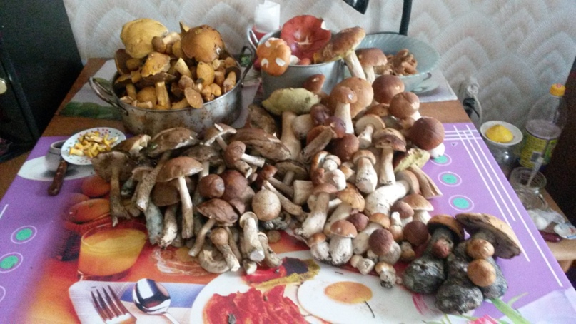 Владимир Кудрявцев | Санкт-Петербург