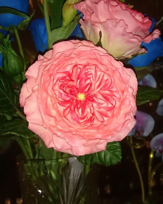 Зоя Доникова | Москва