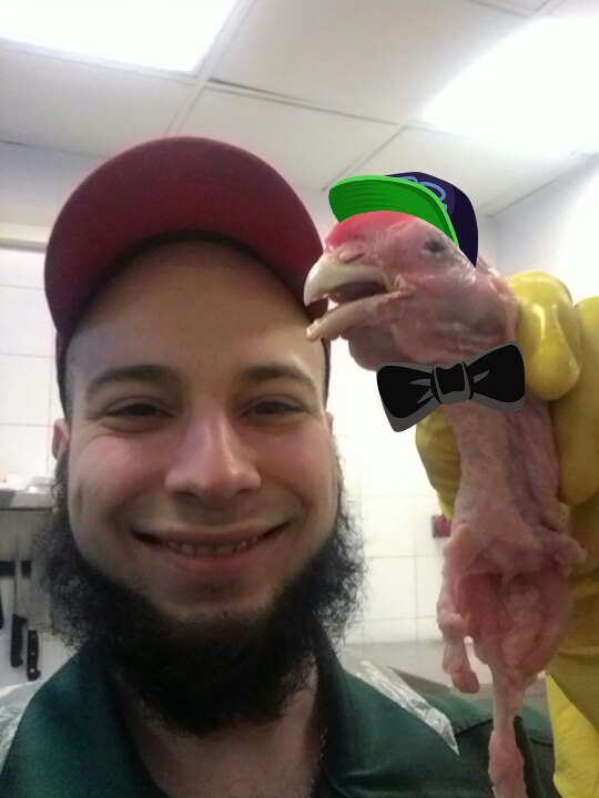 Владимир Дятлов | Санкт-Петербург