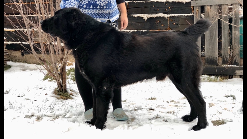 Оксана Николаева | Вихоревка