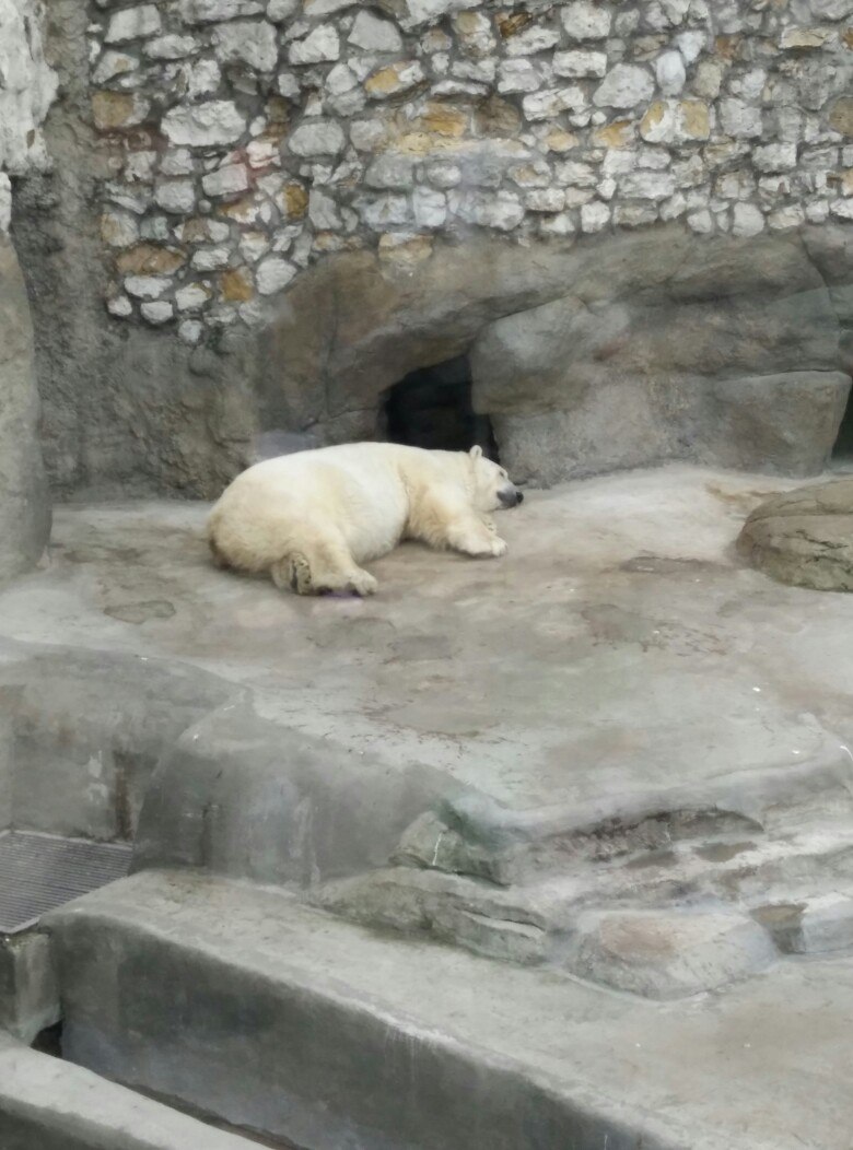 Артем Горбачёв | Жуковский