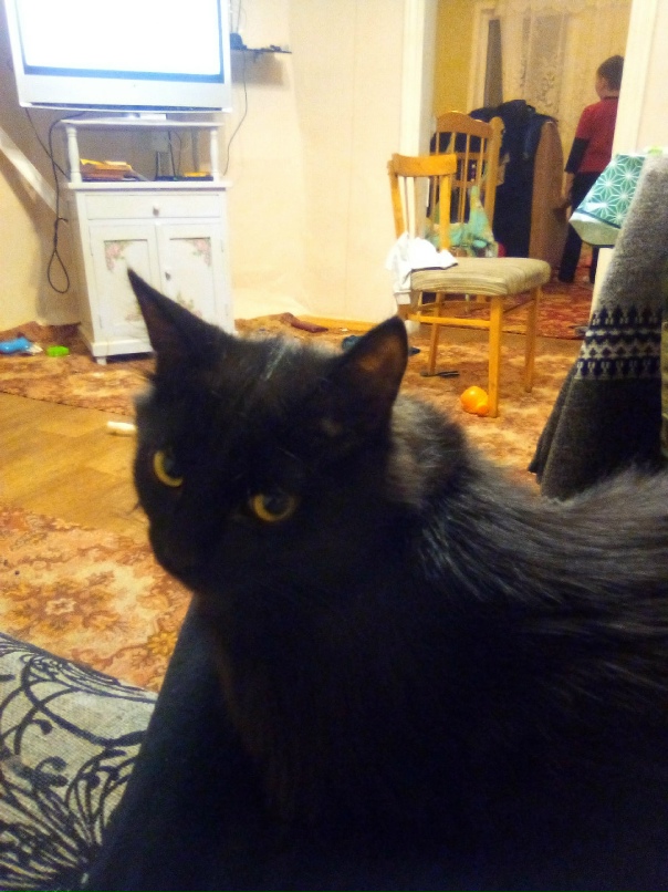 Денис Дьяков Владимирович |