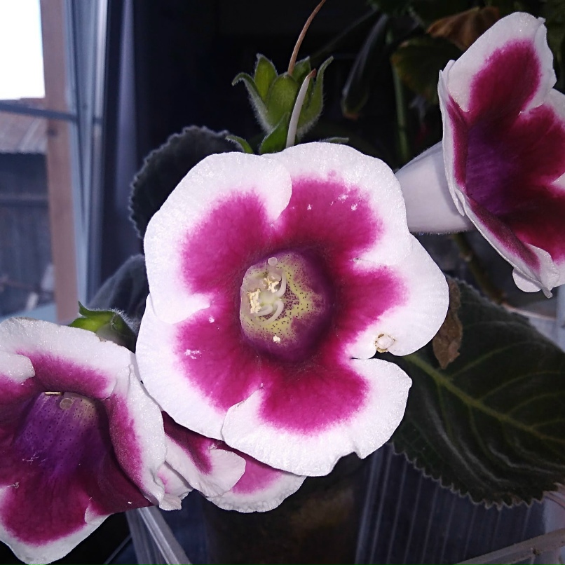 Марина Ситникова | Миасс