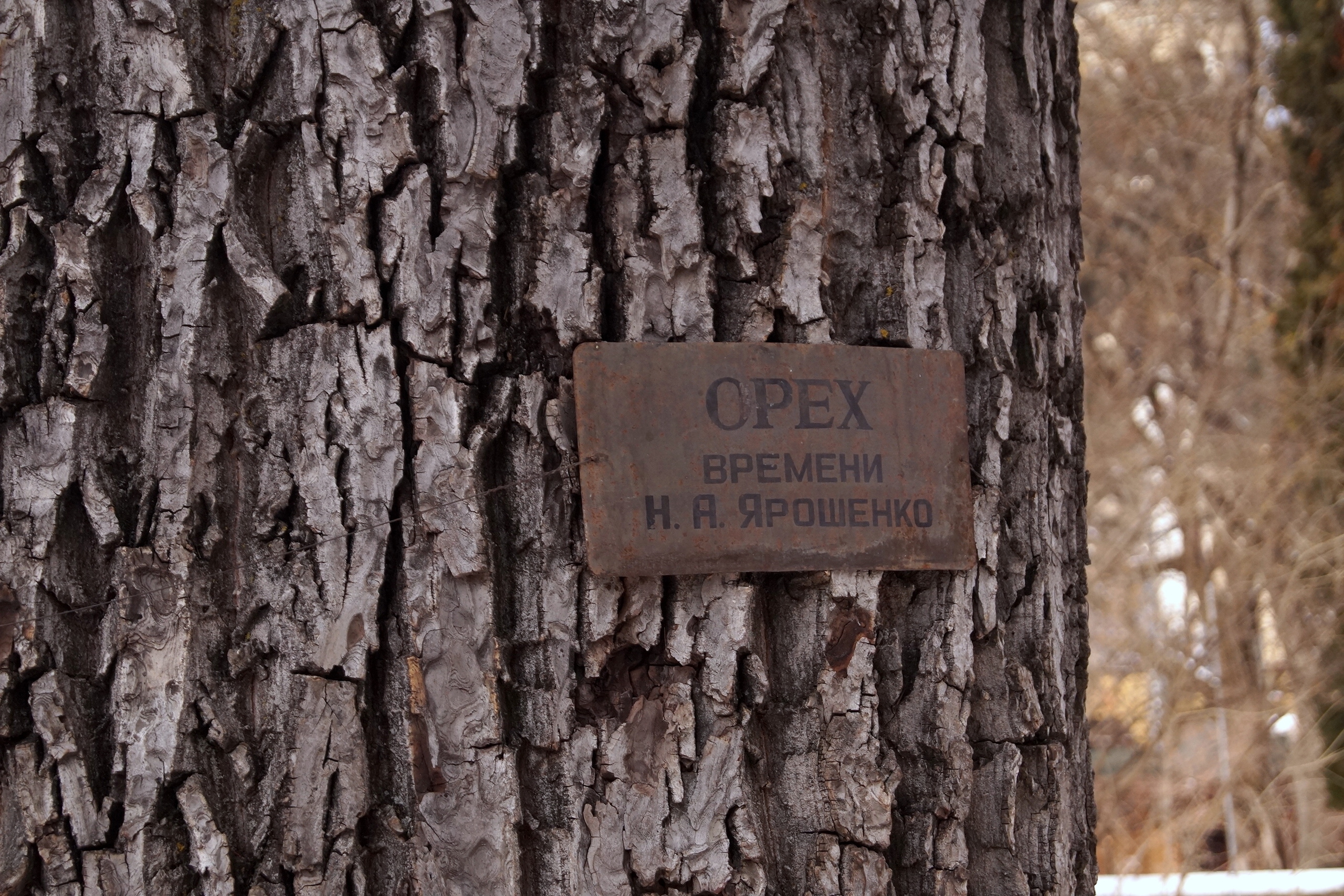 1Z01QL8cH0I.jpg?size=2560x1707&quality=9