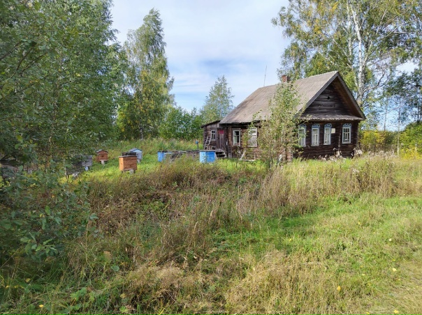 Костромская область нейский район деревня грибово фото Костромская область нейский район деревня грибово фото