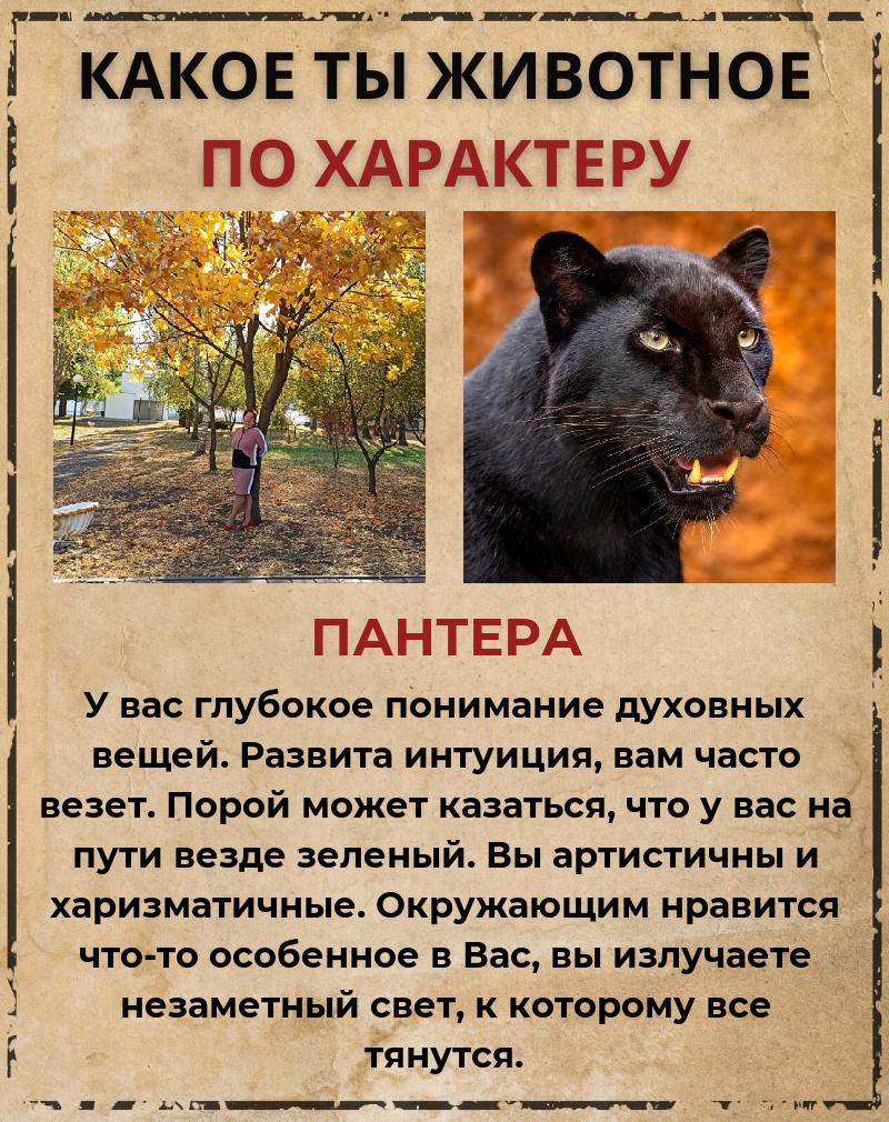 Наталья Брыкина | Алексеевка