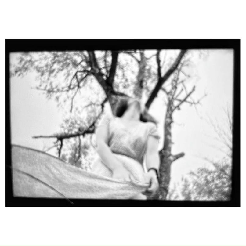 Анна Зеленина | Орёл